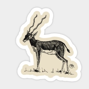 Sweet Antelope Sticker